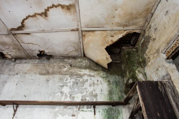 Cost of Water Damage Service in Cave Creek