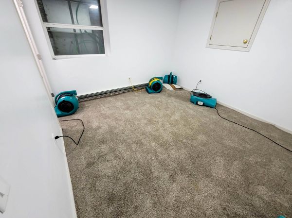 Flood Restoration Service in Cave Creek